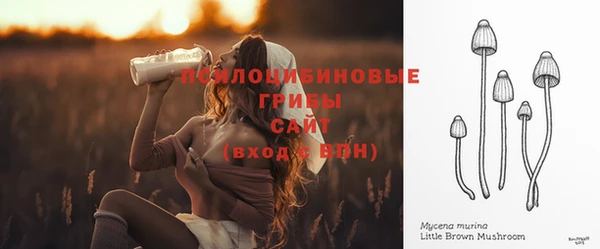 трава Армянск